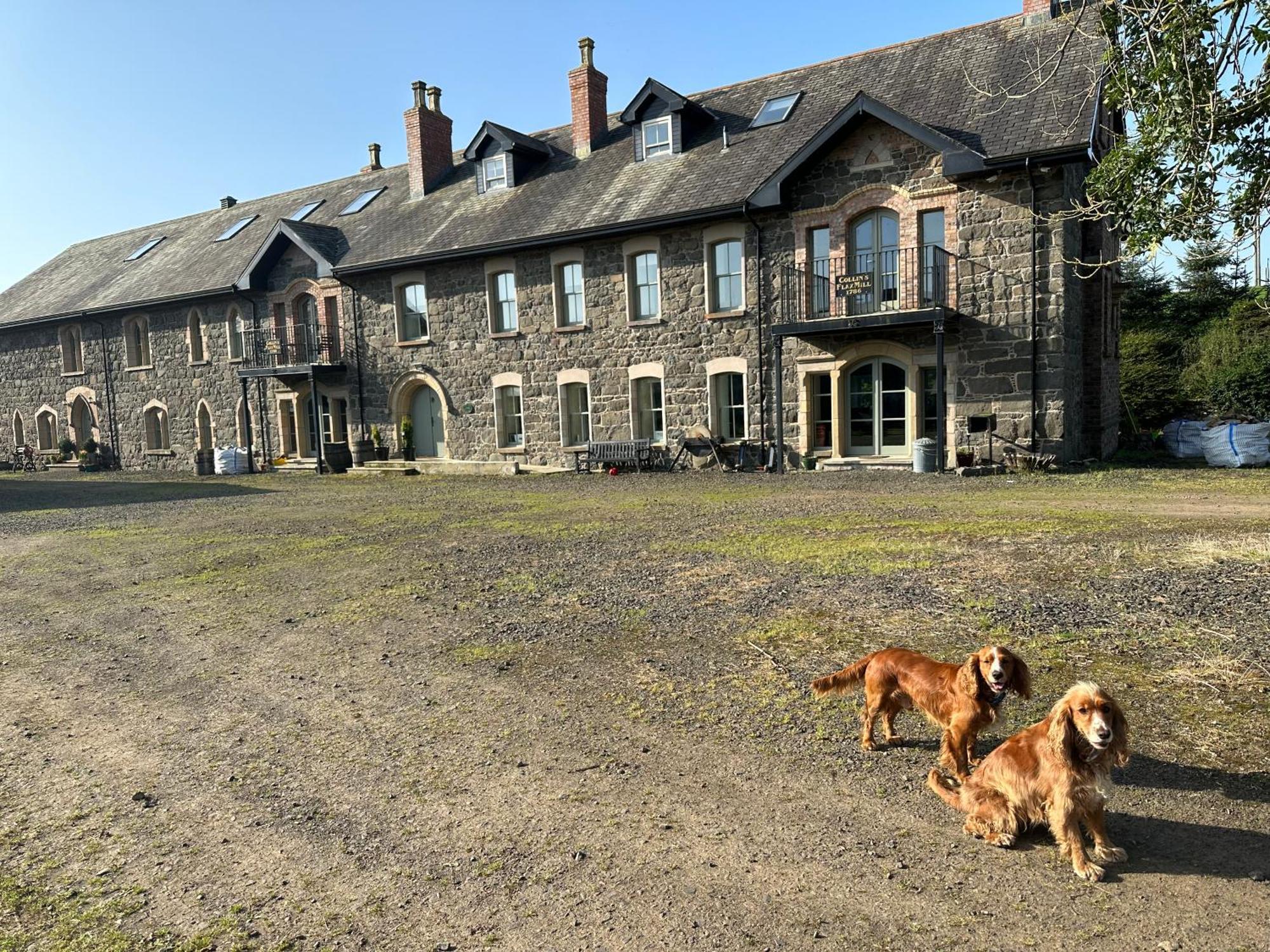 Vila The Old Flax Mill Yoga Retreat Coleraine Exteriér fotografie